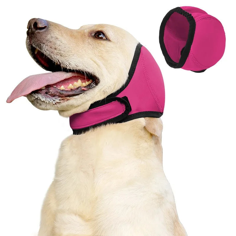 Ein helles Hund trägt einen pinken Ohrenschutz zur Lärmreduzierung und zum Schutz.