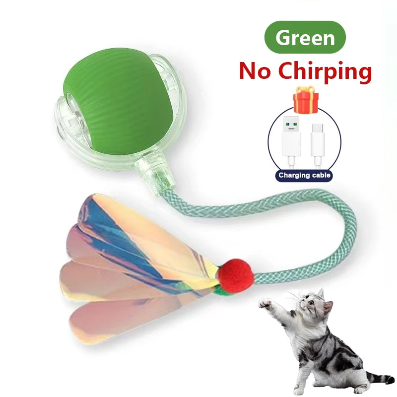 Interactive Chirping Cat Toy Ball with Motion Activation