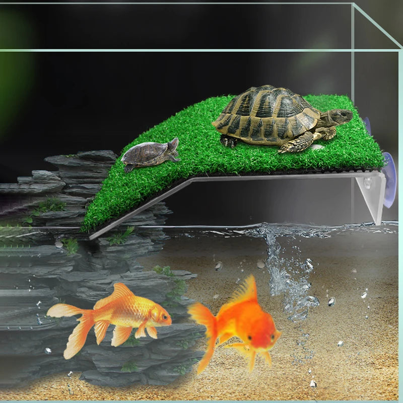 Turtle Basking Platform with Simulation Lawn Ramp