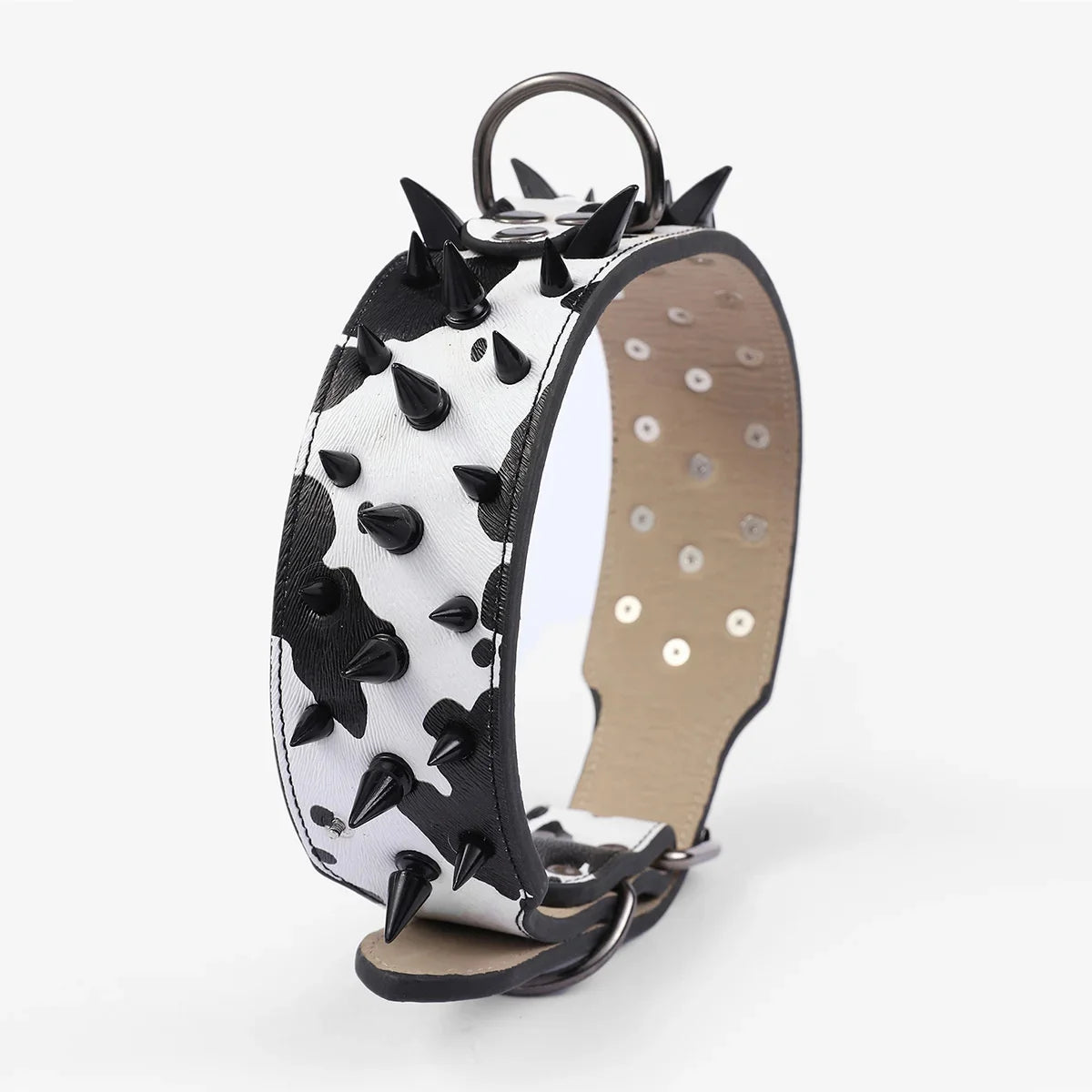A black and white spiked leather dog collar for large breeds.