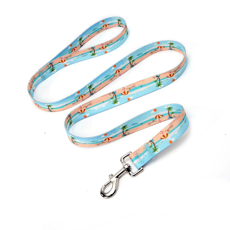 A light blue and orange striped fabric dog leash with a metal D-ring attached.