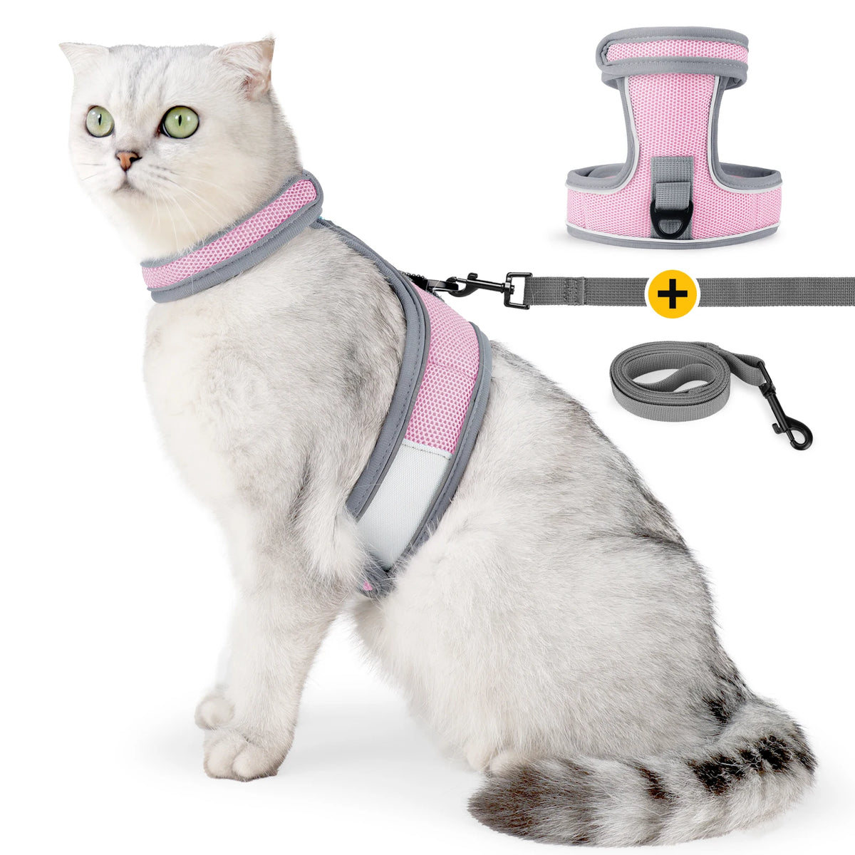 A fluffy gray cat wearing a pink and gray escape-proof harness with an attached leash and buckle.