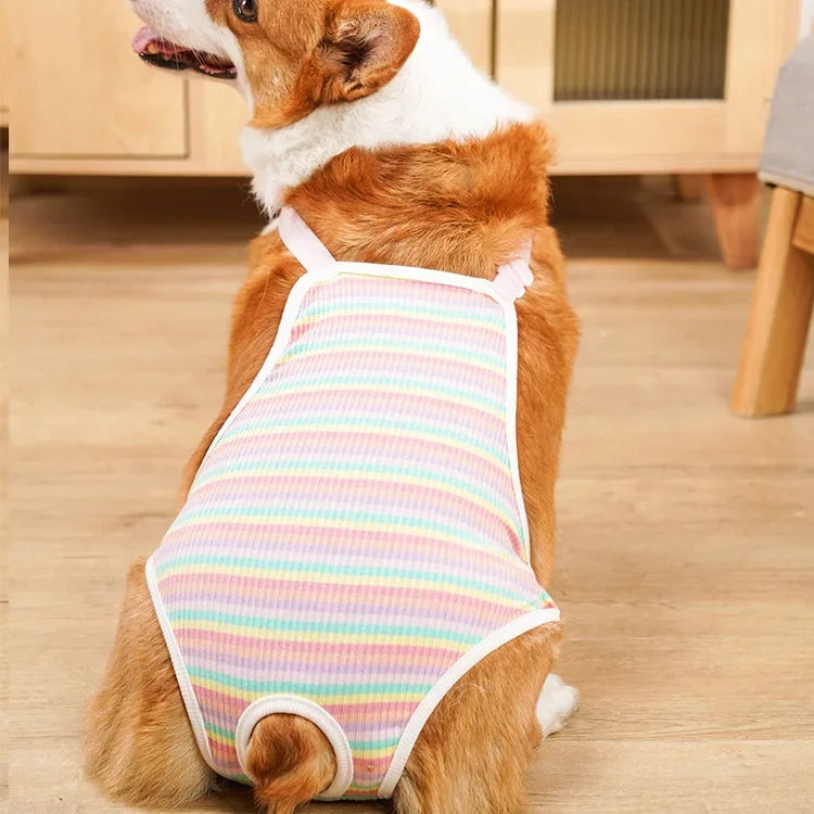 Adjustable Dog Diaper Pants with Suspenders