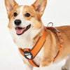 No-Pull Dog Harness with Reflective Strips