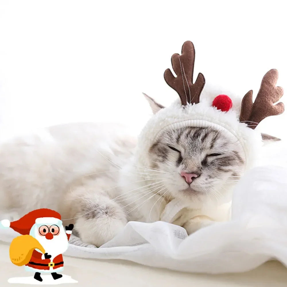 Christmas Pet Hat and Bandana Set for Cats and Small Dogs