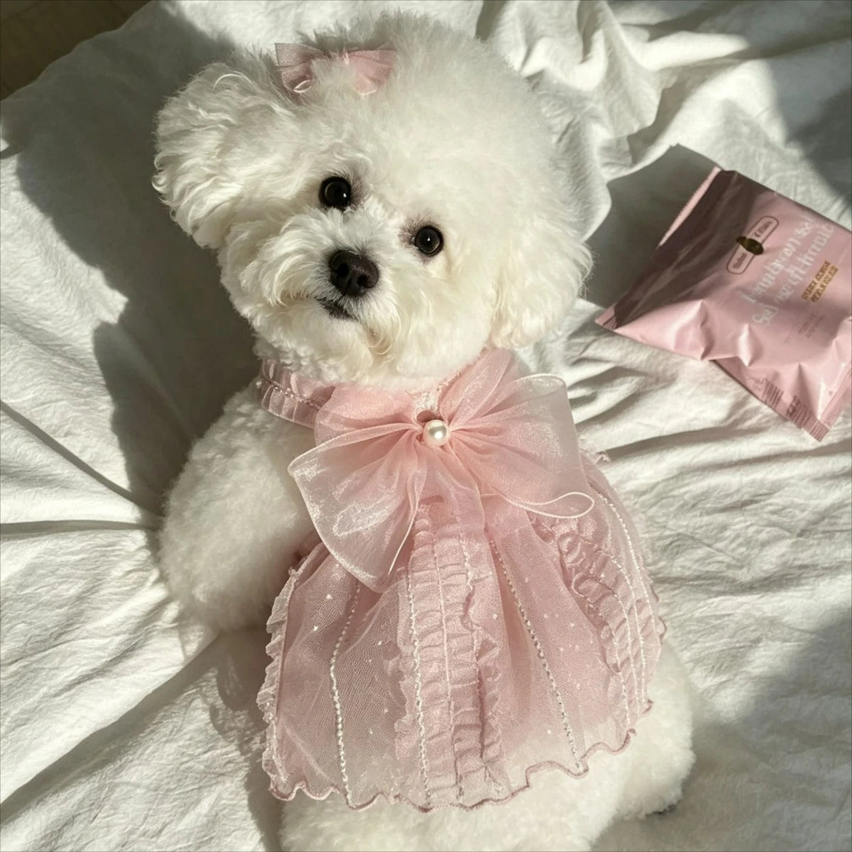 Adorable Princess Dress for Small Dogs and Cats