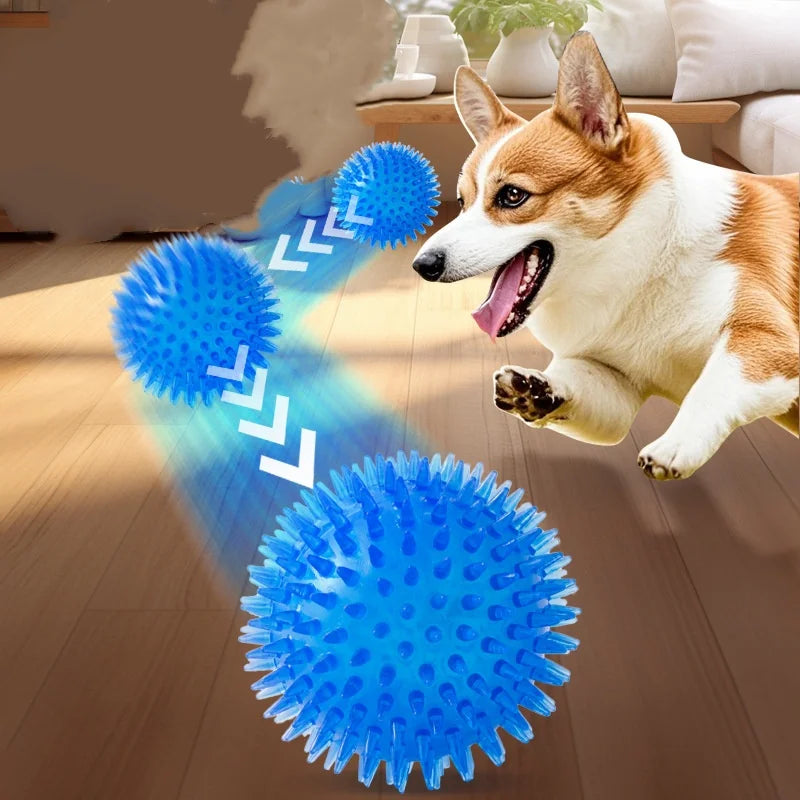 Squeaky Rubber Dog Ball Toy