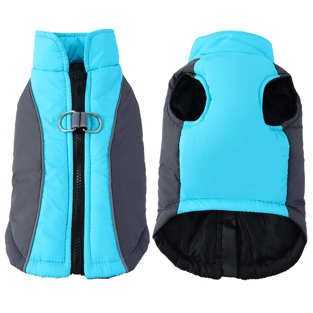 Gilet imperméable réfléchissant bleu et gris pour chien.