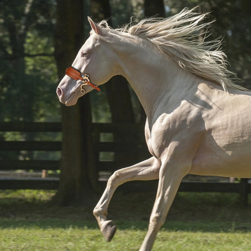 Bridon en cuir réglable pour cheval (Hackamore)
