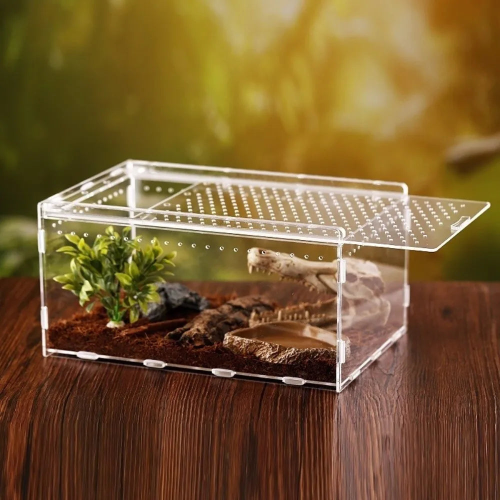 Acrylic Reptile Terrarium with Ventilation and Anti-Escape Lid