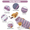 Breathable Dog Recovery Suit for Post-Surgery Protection