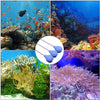 Acrylic Coral Feeder Pipette for Aquarium, 13.8 Inch Long