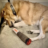 Cigar-Shaped Squeaky Plush Dog Toy for Interactive Play and Teeth Care