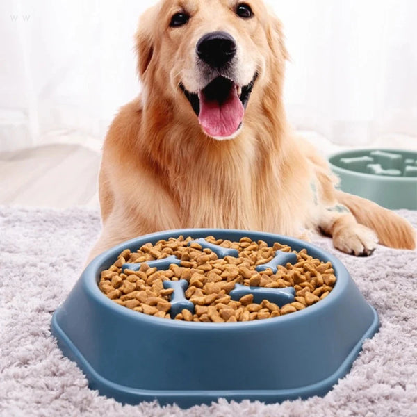 A golden retriever dog is looking at a blue slow feeder bowl filled with kibble on a soft blanket.