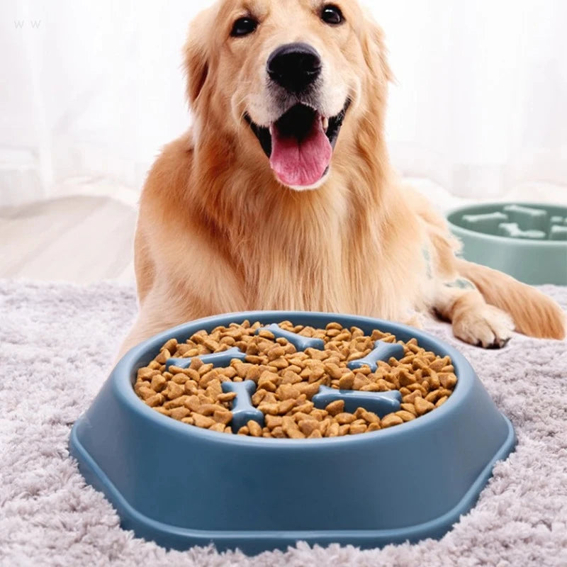 Bol anti-avalage pour chien