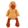 Jouet en forme de molaire pour chien, orange et texturé, pour le nettoyage dentaire.