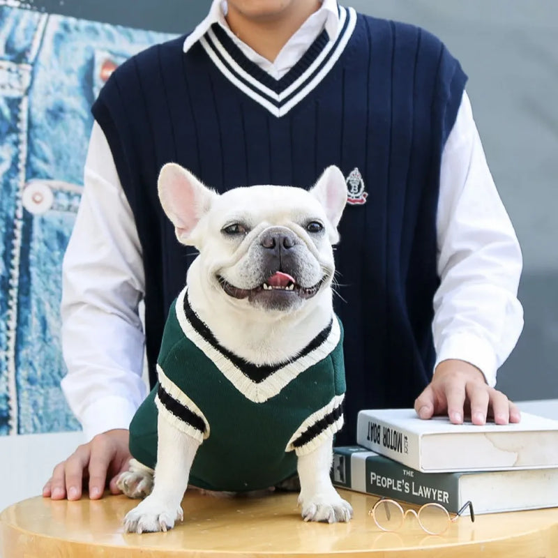 Suéter de Punto Acogedor para Mascotas