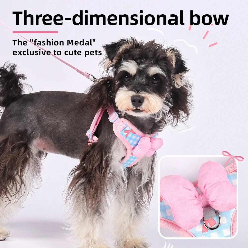 A small dog wearing a pink and blue plaid harness with a bow, shown in a full-body view.