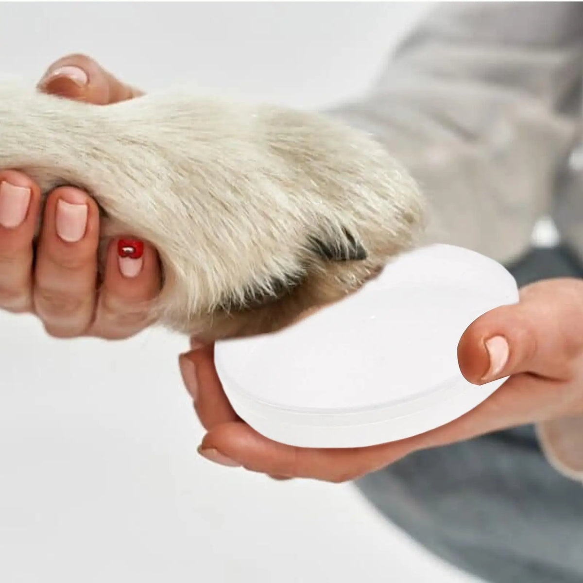 Eine Hand hält ein weißes Impression-Kit mit Pfotenspuren-Form zum Herstellen von Erinnerungsstücken.