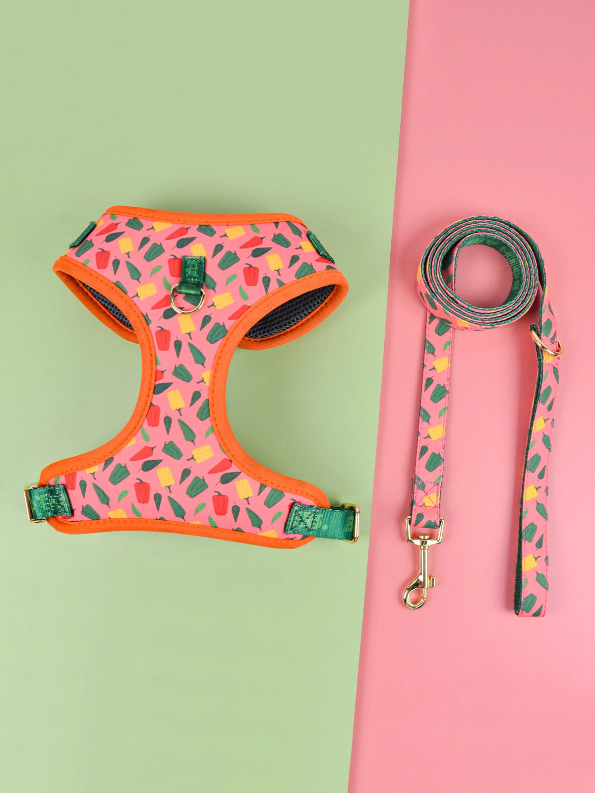 A pink and orange pet harness with a matching green patterned leash displayed on a light green background.