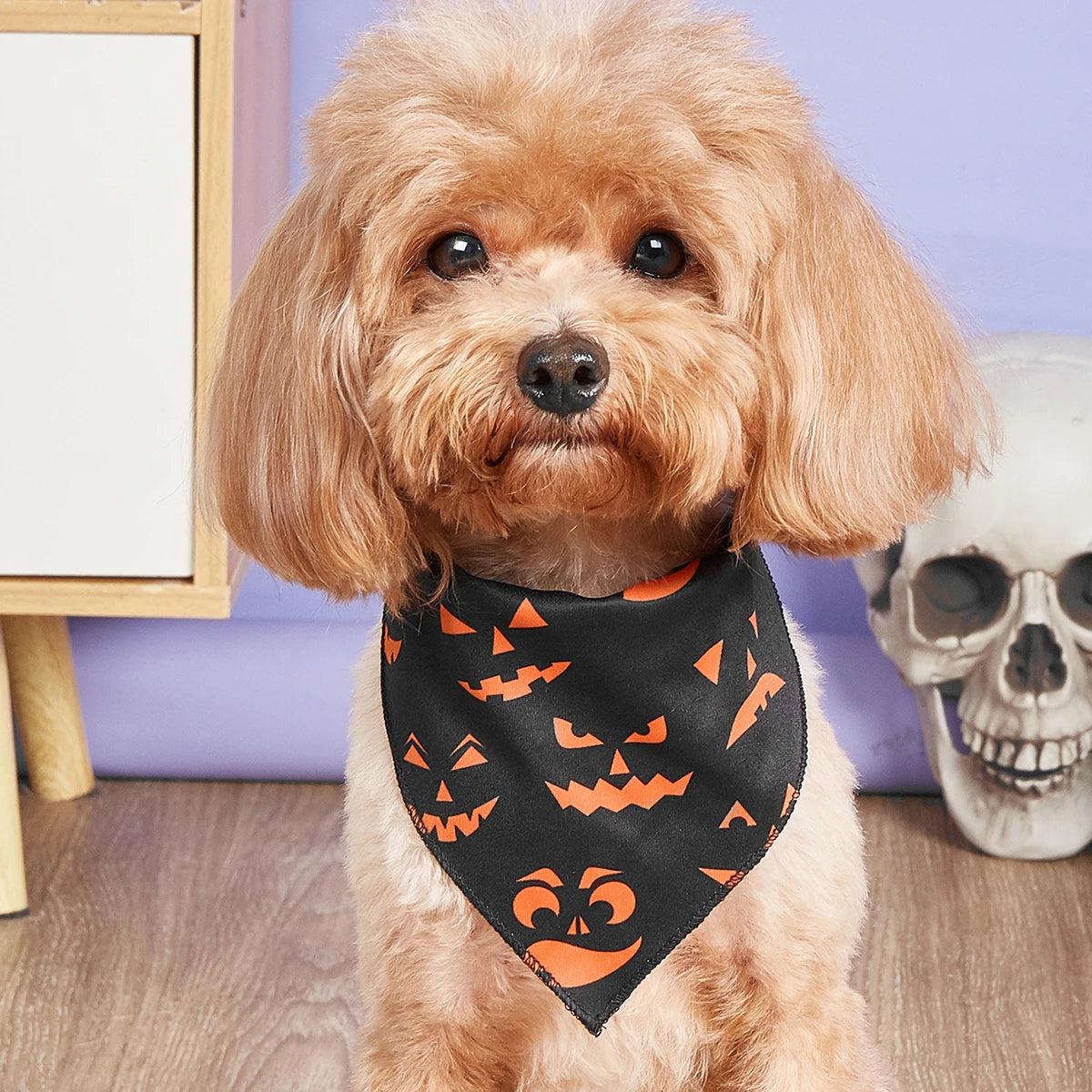 Halloween Dog Bandana with Pumpkin and Spider Web Design