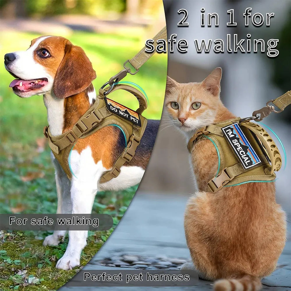 A dog and a cat wearing 2 in 1 pet harnesses for safe walking and perfect pet harness.
