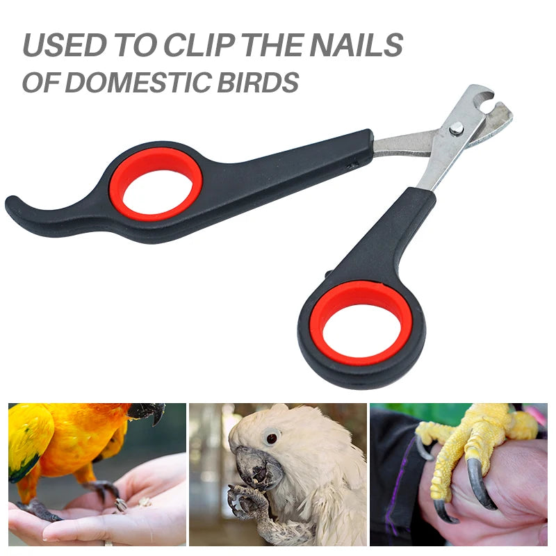 Pet Nail Clippers and Trimmer for Dogs Cats Birds Parrots