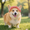 Breathable Cotton Sun Hat for Dogs and Cats with Ear Holes