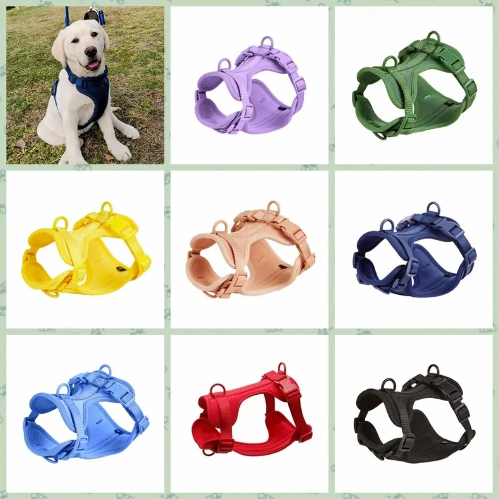 A collection of colorful reflective dog harnesses and vests in various shades including purple, green, yellow, and blue.