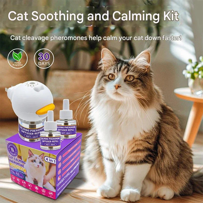 A cat sitting next to a set of four electric pheromone diffusers for calming cats and dogs.