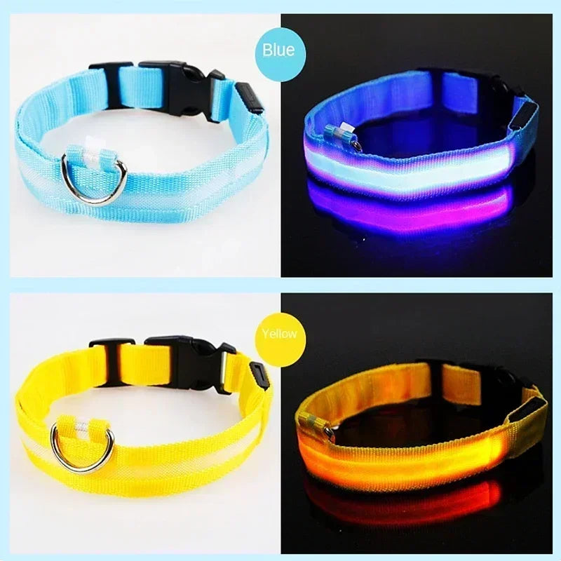Wiederaufladbare LED-Hundehalsband für Nachtsicherheit