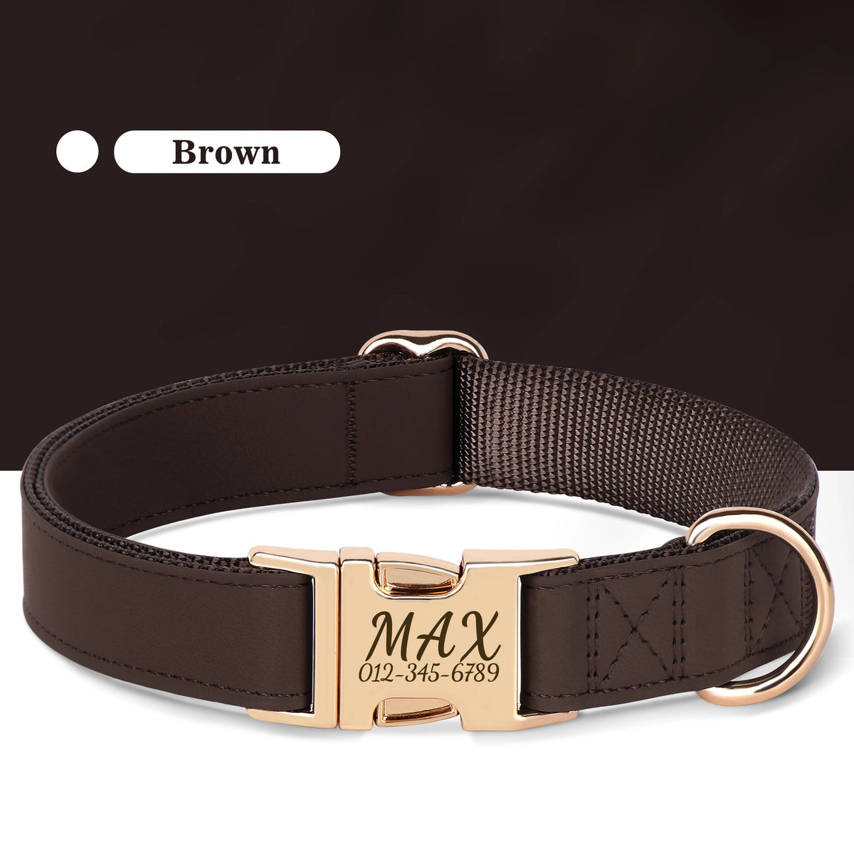 Brown leather dog collar with a gold nameplate and buckle.