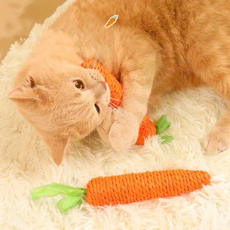 Karottenförmiges Quietschspielzeug für Katzen