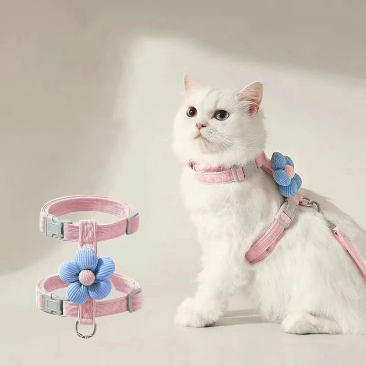 Weiße Katze mit pinker Netz-Halterung und Leine.