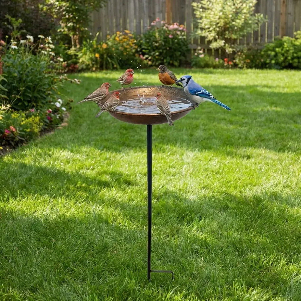 Rustic Iron Bird Feeder with Wide-Mouth Water Basin
