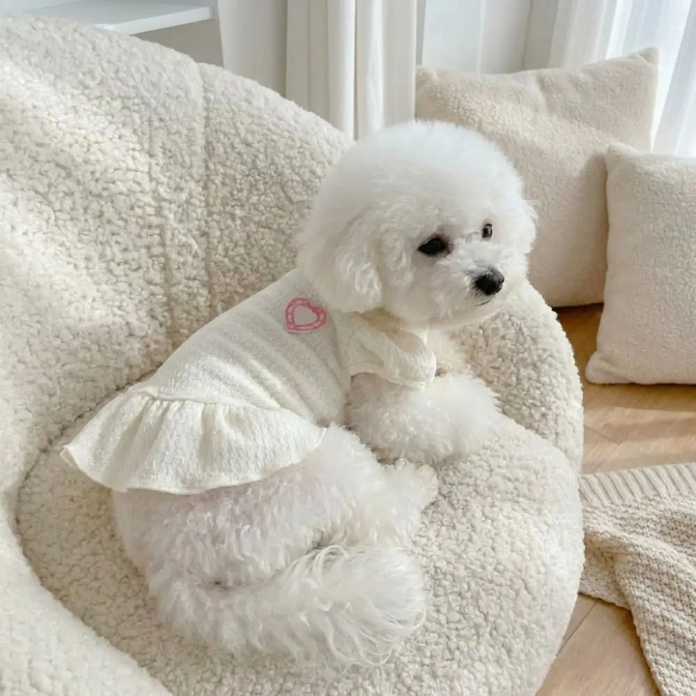 A fluffy white dog wearing a dress with flutter sleeves sitting on a cream-colored textured sofa.