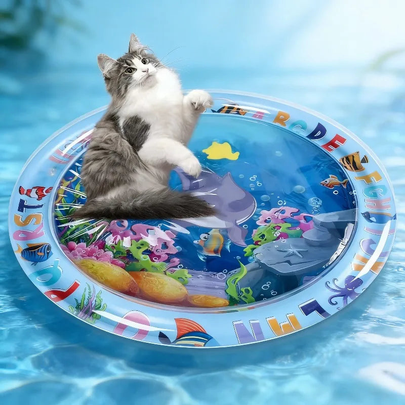 A fluffy gray and white kitten is playing with colorful sea animals on a clear blue water play mat.