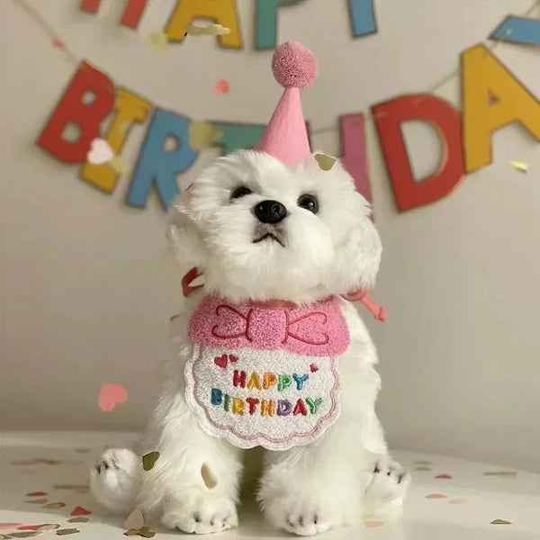 Conjunto de Bufanda y Sombrero para Fiesta de Cumpleaños de Mascota