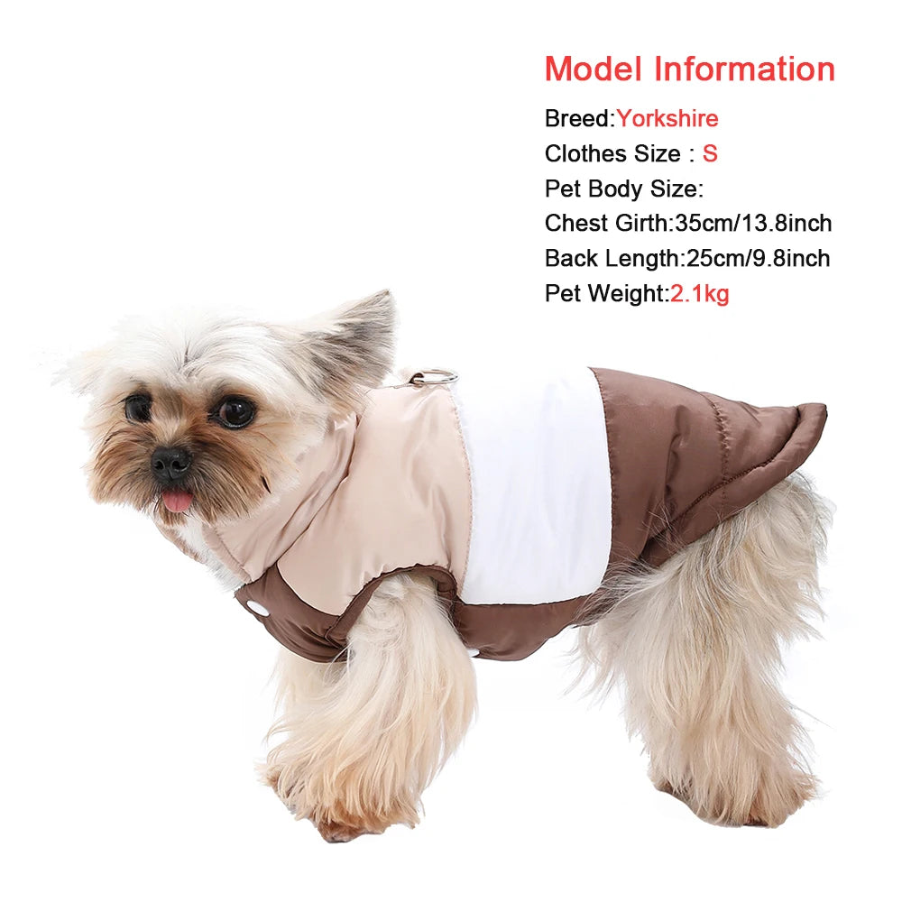 A fluffy Yorkshire terrier wearing a brown padded windproof dog vest with a white insert.