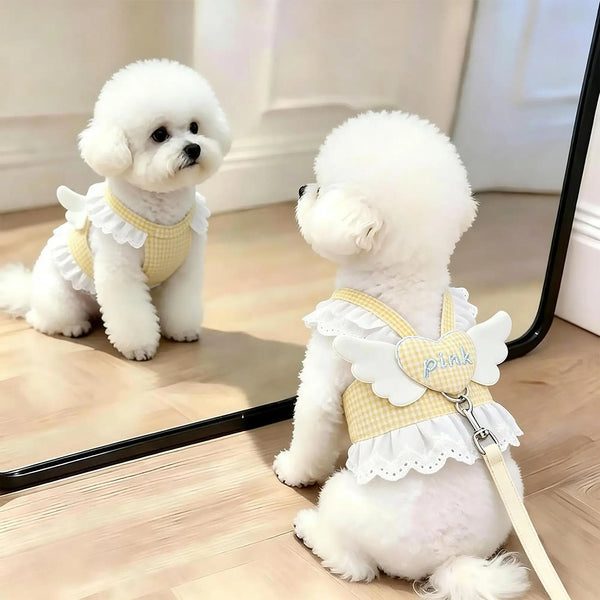 A white poodle wearing a pink lace ruffle plaid dog harness vest with an angel heart design.