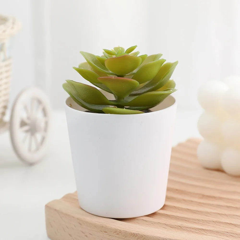 A small, green artificial cactus succulent bonsai plant in a white ceramic pot sitting on a wooden surface.