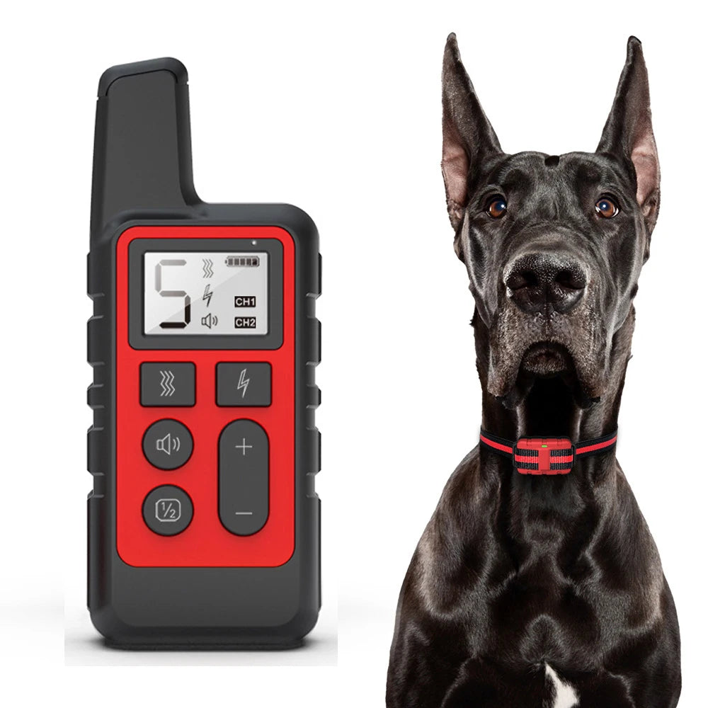 A black remote dog training collar with a red body and LCD display is shown next to a black dog.