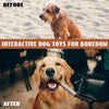 Before and after comparison of an interactive dog toy for boredom, showing a dog chewing a bone.