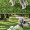 Cooling Dog Vest with Built-in Fan