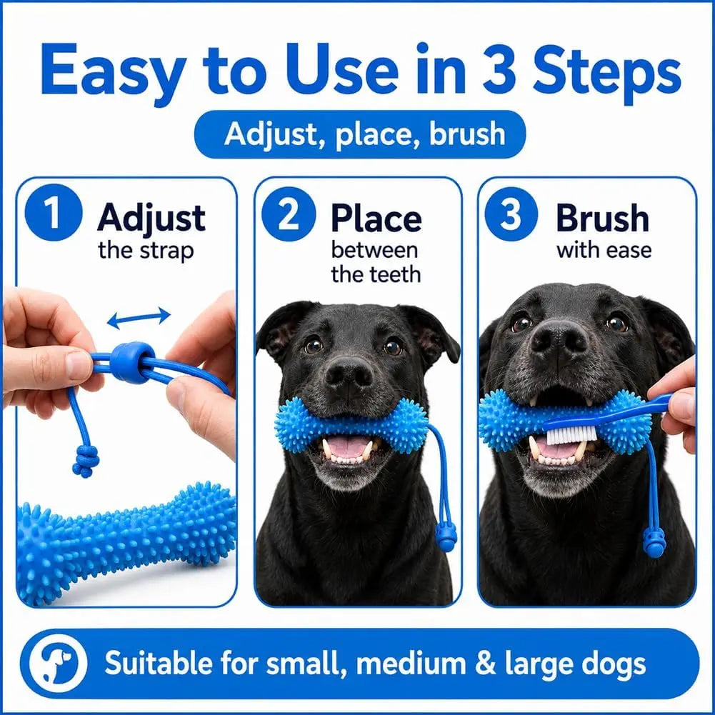 Dual-Action Canine Dental Prop for Dogs