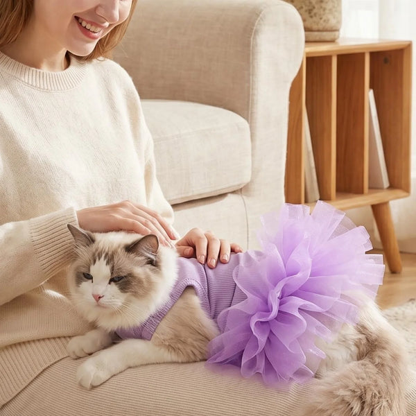 A woman gently holds a fluffy white cat wearing a purple tulle tutu skirt on her lap.