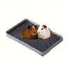 A small brown and white guinea pig sits on a gray plastic pet litter box.