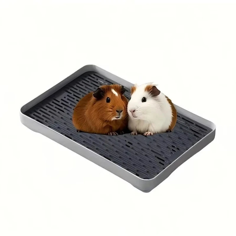 A small brown and white guinea pig sits on a gray plastic pet litter box.