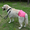 Reusable Dog Diapers for Heat Cycles and Incontinence