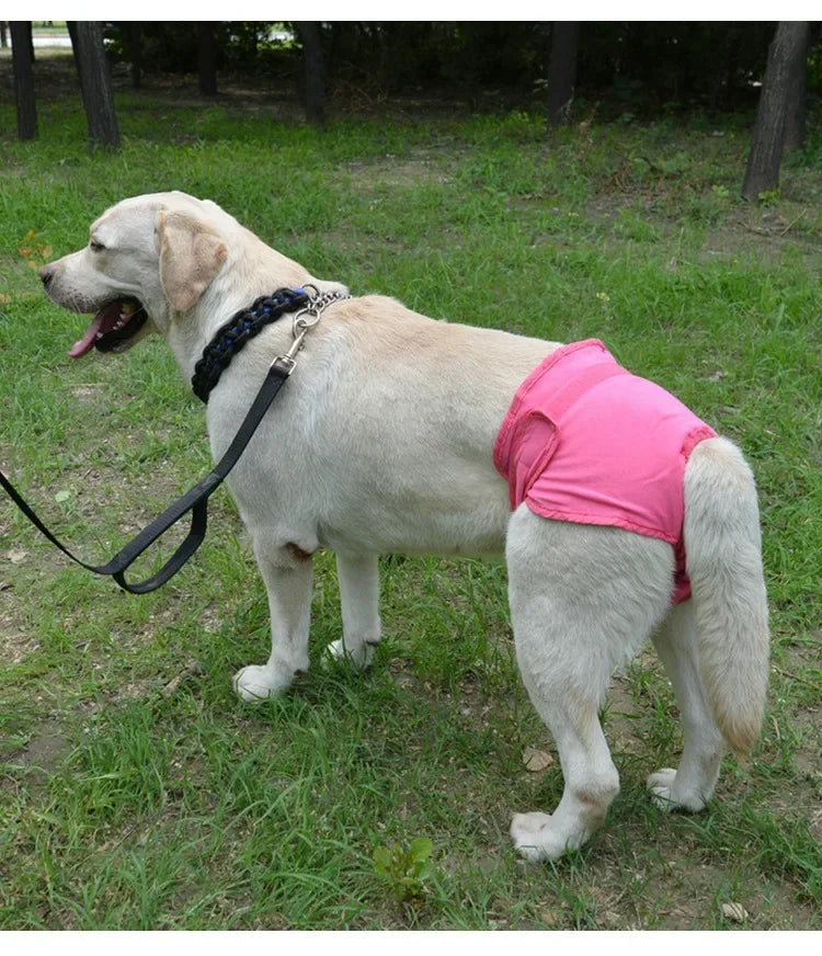 Reusable Dog Diapers for Heat Cycles and Incontinence